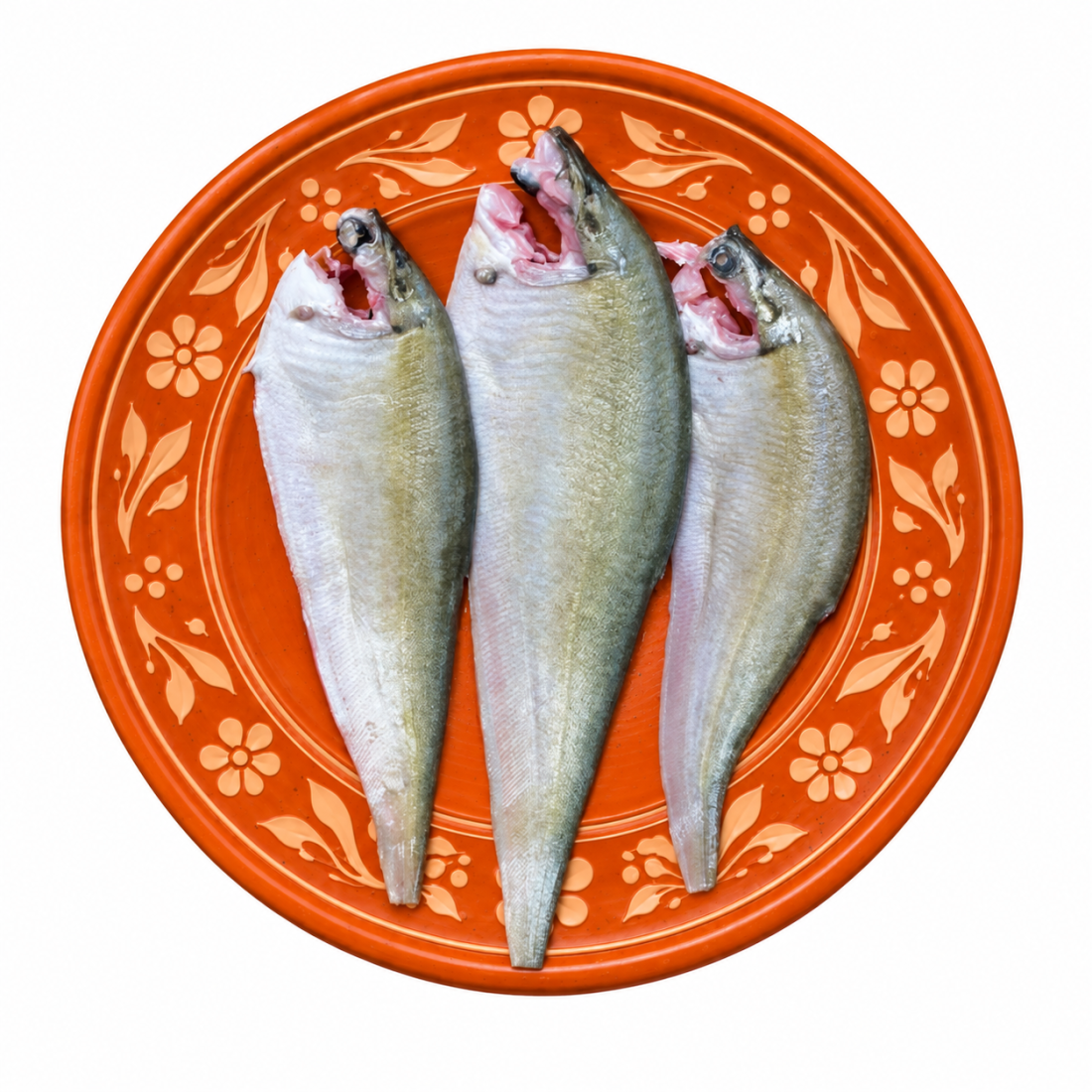 ফলি মাছ